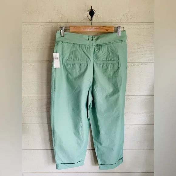 NWT Anthropologie Maeve Belted Tapered Pants, Size 2 - Picture 5 of 5